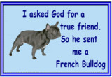 fransebulldoggod